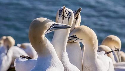 金华最新公积金卡提取现金方法app方法分析(最方便真实的金华公积金卡怎样从手机里取出来?方法)