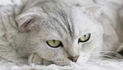 金华最新公积金卡提取现金方法app方法分析(最方便真实的金华公积金卡怎样从手机里取出来?方法)