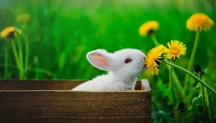 金华最新平安365栏目急诊24小时方法分析(最方便真实的金华平安365急诊24小时回顾方法)